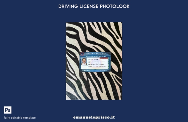 modello FRONTALE photolook Pakistan DL stile verificato